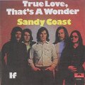 Sandy_Coast-Hoes-Single-Japan-True_Love_thats_a_Wonder